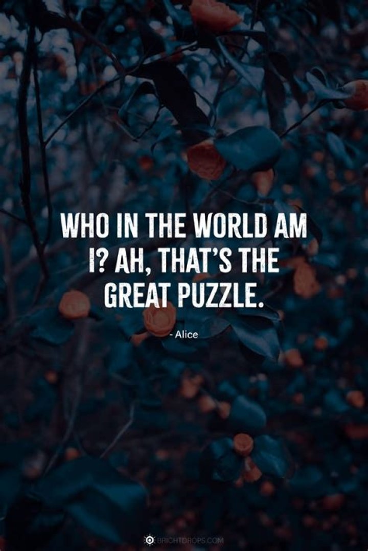 Who in the world am I Thats the great puzzle?