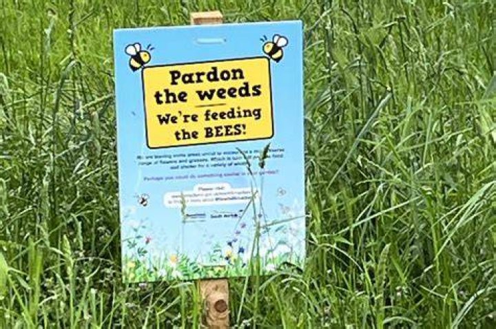 Who owns the grass verge UK?