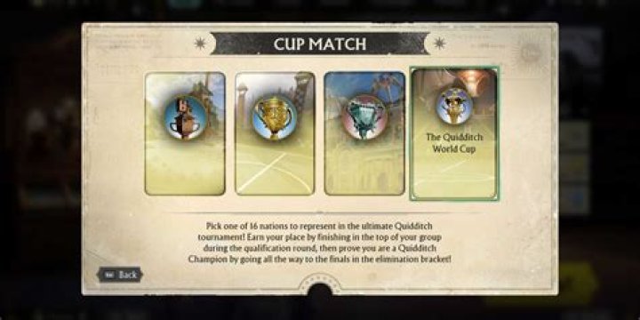 Who won Quidditch Cup Book 6?