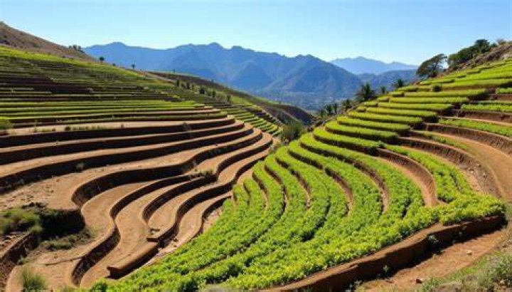 Why are terraces made on the sloping land?