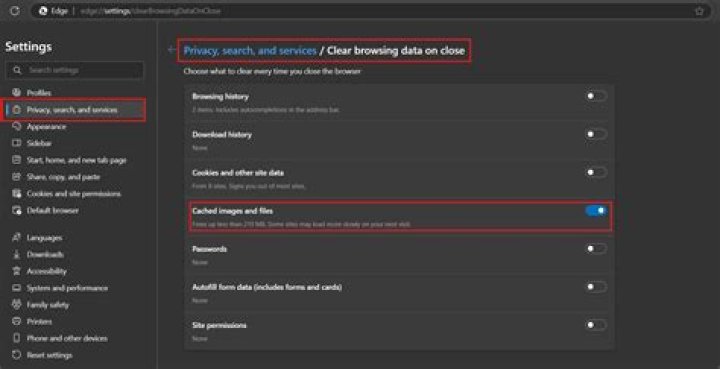 Why do I need to clear my terminal history?
