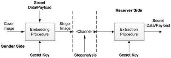 Why steganography has a very limited capacity?