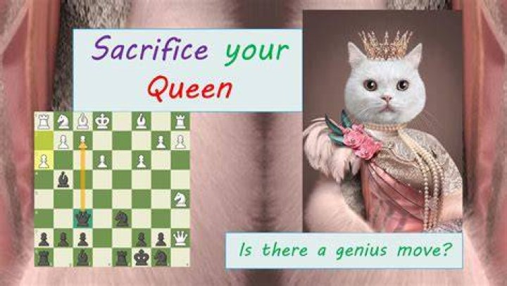 Why would you sacrifice your queen in chess?