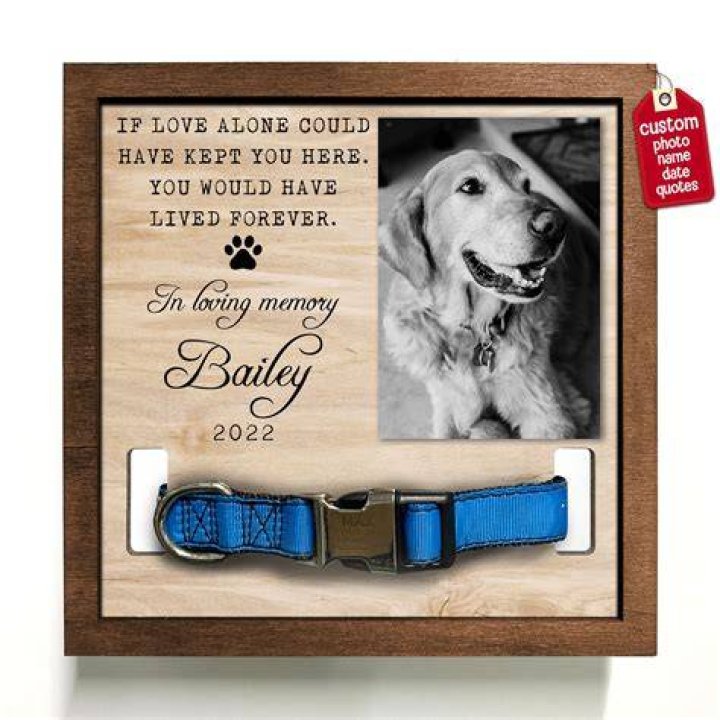 Will I see my deceased dog again?