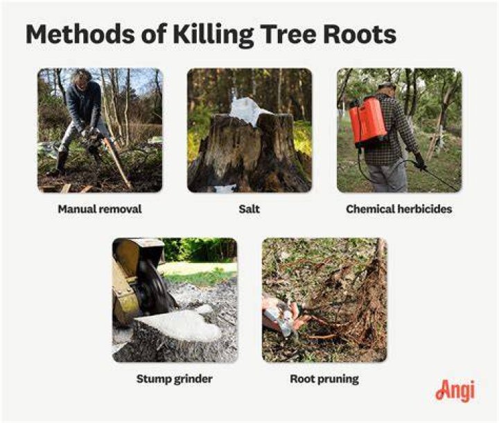 Will ice melt kill tree roots?