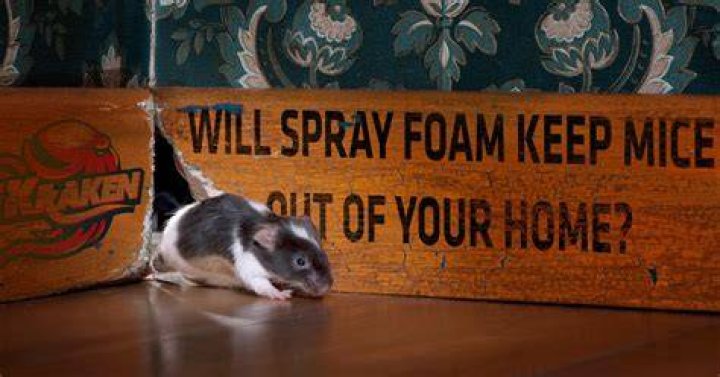 Will spray foam insulation keep out mice?
